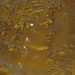 Roger Parks Photo 16