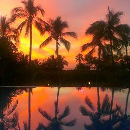 Scott Bryan Photo 40