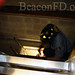 Jason Fisch Photo 6