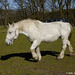 Sara Breed Photo 3