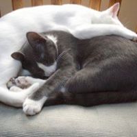 Susan Maclaren Photo 11