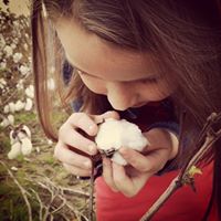 Stephanie Cochran Photo 40