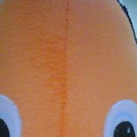 Scott Summer Photo 16