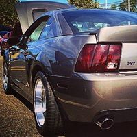 Brian Phelan Photo 20