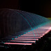 Dan Lieberman Photo 40