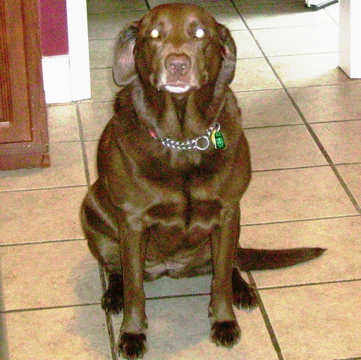 Renee Myers Photo 40