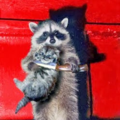 Warren Case Photo 15