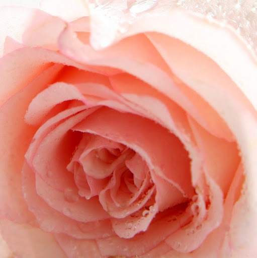 Carolyn Robbins Photo 22