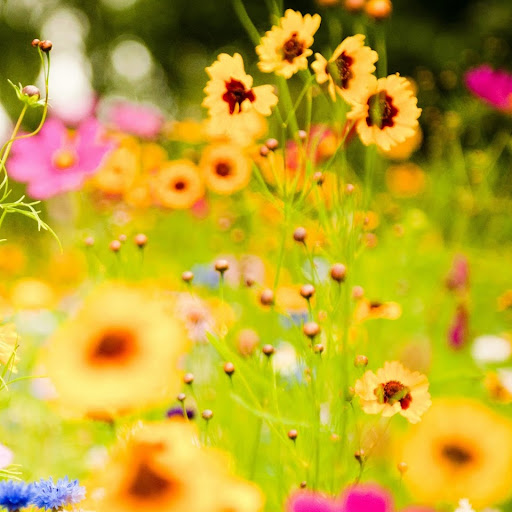 Karen Larkin Photo 18