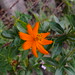 Jason Mcelroy Photo 23