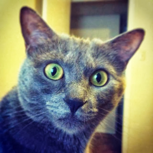 David Spicer Photo 19 David Spicer Photo 19