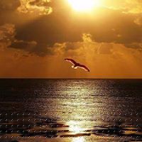 Frances Rosado Photo 17