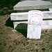 John Clausen Photo 40