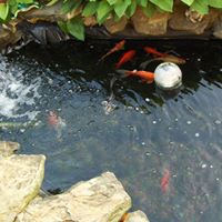 Judy Mclaughlin Photo 10