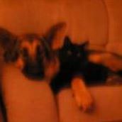 Susan Mueller Photo 7