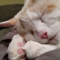 Lisa Gruber Photo 23