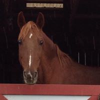 Cheryl Roth Photo 25