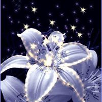 Janice Lockhart Photo 19