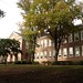 James Whaley Photo 34