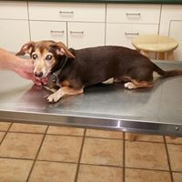 Elizabeth Christman Photo 25