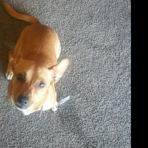 Samuel Maxwell Photo 41