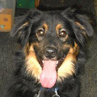 Willie Preston Photo 11