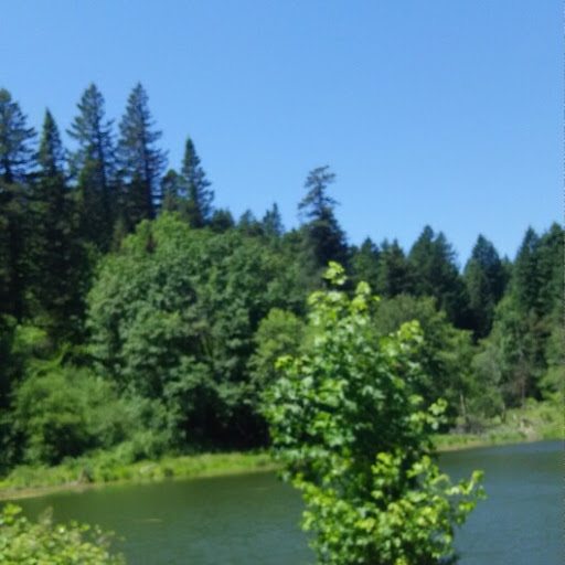 Bill Hubbard Photo 35