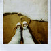 Jean Purcell Photo 11