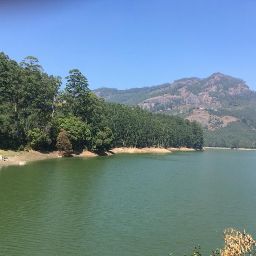 Elizabeth George Photo 37