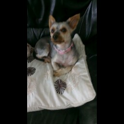 Lisa Holliday Photo 31