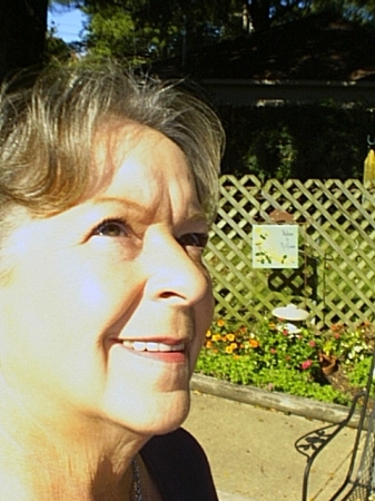 Vickie Collins Photo 19