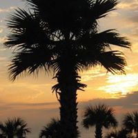 Kathy Tuttle Photo 6
