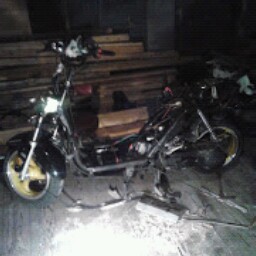 Linda Ferris Photo 18