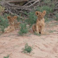 Jill Bowman Photo 21