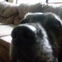 Michelle Spaulding Photo 22