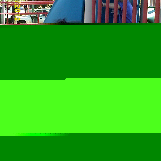 Robin Merchant Photo 28