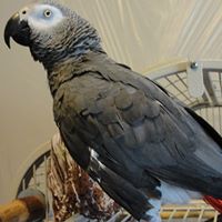 Connie Berg Photo 21