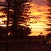 Dawn Napier Photo 32