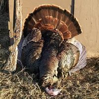 Cindy Ulrich Photo 33