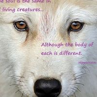 Cheri Simon Photo 14