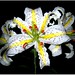 Richard Rill Photo 6
