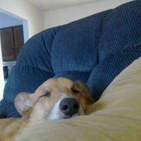 John Rathbun Photo 24