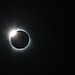 Paul Ring Photo 33