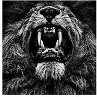 Stevie Douglas Photo 13