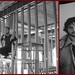 Daniel Saunders Photo 24