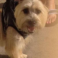 Debra Randall Photo 14