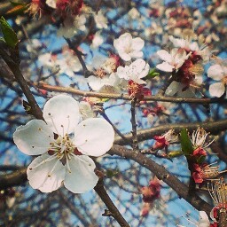 Yin Zhao Photo 10 Yin Zhao Photo 10