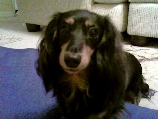 Jeffrey Franks Photo 22