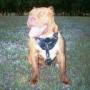 James Frierson Photo 12