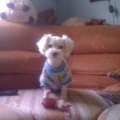 Carlos Rojas Photo 53 Carlos Rojas Photo 53